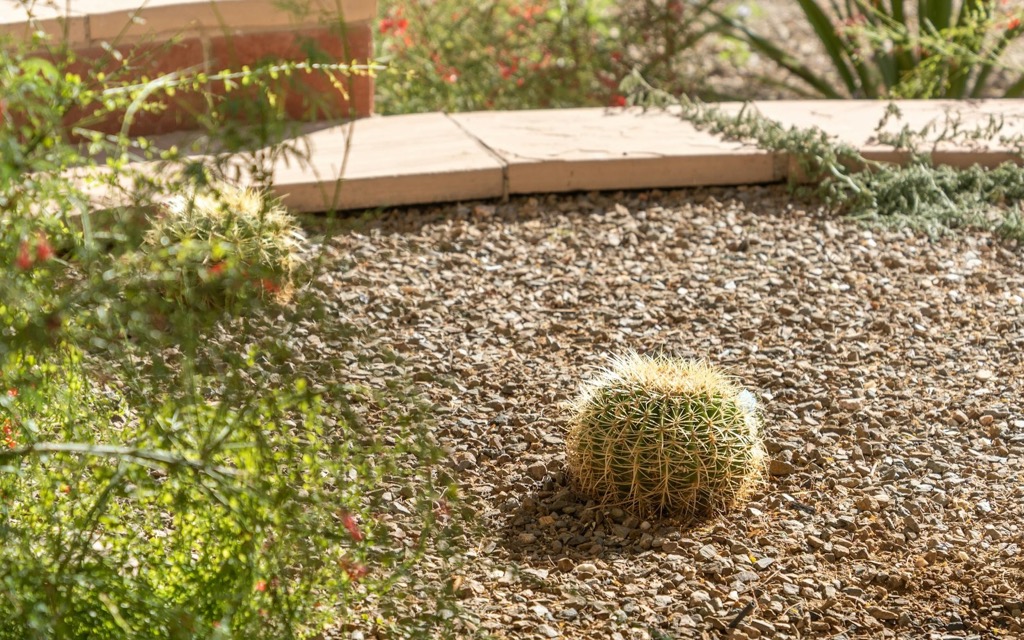 Desert Scapes by Platinum Landscape Creations in West Texas